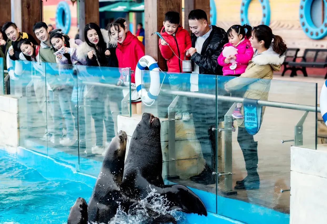 Shanghai Haichang Ocean Park Resort Hotel (34)