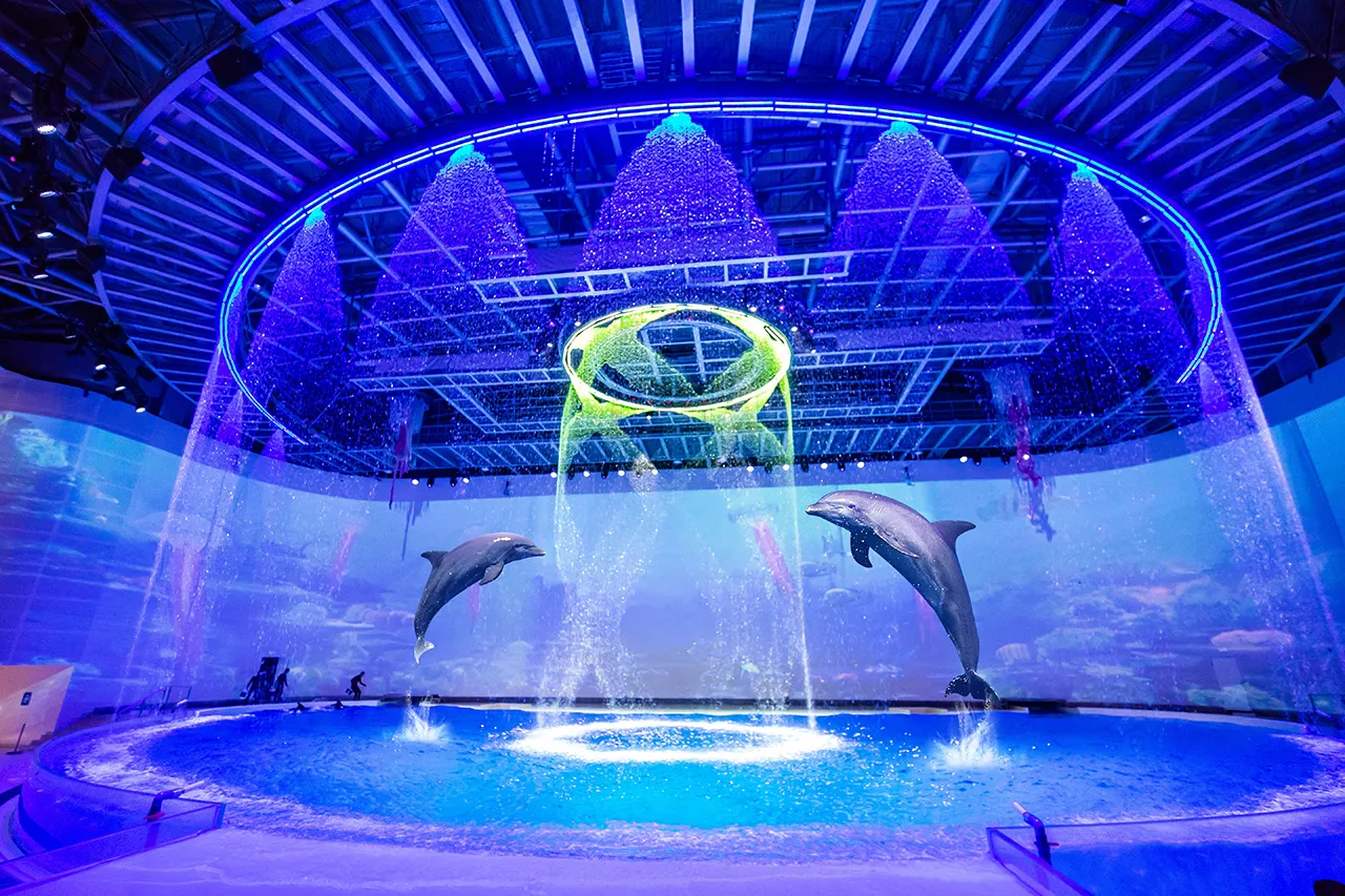 Shanghai Haichang Ocean Park Resort Hotel (95)